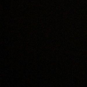 Meet your Posher, Audrey